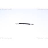 Bremsschlauch TRISCAN - 8150 25210