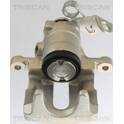 Bromsok (nio) TRISCAN - 8175 10202