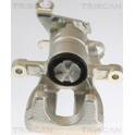 Bromsok (nio) TRISCAN - 8175 42203