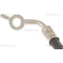 Bromsslang TRISCAN - 8150 13317
