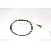 Cable de arranque TRISCAN - 8140 91002
