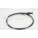 Cable, starter TRISCAN - 8140 25503