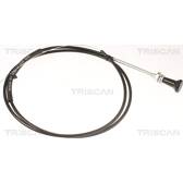 Cable, starter TRISCAN - 8140 91002