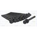Cilinderkopbout set TRISCAN - 98-1714