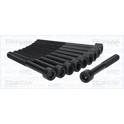 Cilinderkopbout set TRISCAN - 98-4004