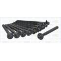 Cilinderkopbout set TRISCAN - 98-5533