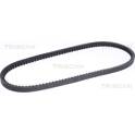 Cinghia Poly-V TRISCAN - 8640 130825