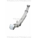 Conjunto de muelle TRISCAN - 8765 13027