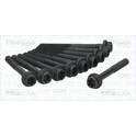 Cylinder Head Bolt Set TRISCAN - 98-2521