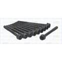 Cylinder Head Bolt Set TRISCAN - 98-2526