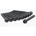 Cylinder Head Bolt Set TRISCAN - 98-4112