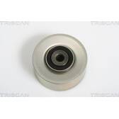Drive belt idler pulley TRISCAN - 8641 282011