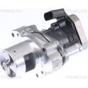 EGR Klep TRISCAN - 8813 23019