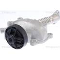 EGR Klep TRISCAN - 8813 23024