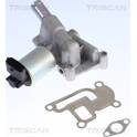 EGR Klep TRISCAN - 8813 24001
