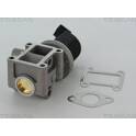 EGR Klep TRISCAN - 8813 24082