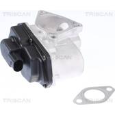 EGR Klep TRISCAN - 8813 29003