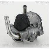 EGR Klep TRISCAN - 8813 29069