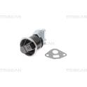 EGR Klep TRISCAN - 8813 40013