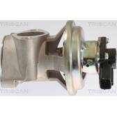 EGR Klep TRISCAN - 8813 42003