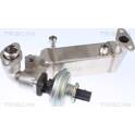 EGR Valve TRISCAN - 8813 11009