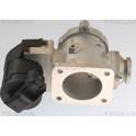 EGR Valve TRISCAN - 8813 11020