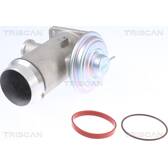 EGR Valve TRISCAN - 8813 11102
