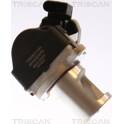 EGR-ventil TRISCAN - 8813 23101