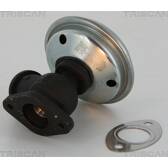 EGR-ventil TRISCAN - 8813 28012