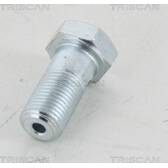 Hohlschraube (x10) TRISCAN - 8105 3251