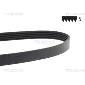 Flerspårsrem TRISCAN - 8640 501200