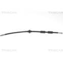 Flexible de frein TRISCAN - 8150 10125