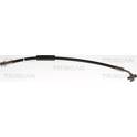 Flexible de frein TRISCAN - 8150 83009
