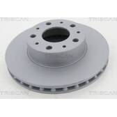 Brake disc set (2) TRISCAN - 8120 101005C