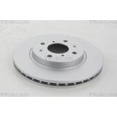 Brake disc set (2) TRISCAN - 8120 69131C