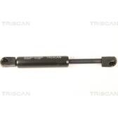 Gas Spring, bonnet TRISCAN - 8710 28105