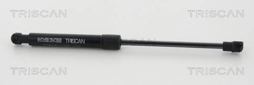 Bonnet gas struts