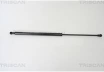 Gas Spring, boot/cargo area