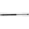 Gasfeder, Koffer-/Laderaum TRISCAN - 8710 38232