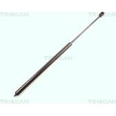 Gasveer, motorkap TRISCAN - 8710 23105