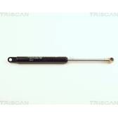 Gasveer, motorkap TRISCAN - 8710 25101