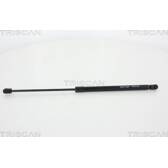 Heckklappendämpfer TRISCAN - 8710 25257