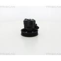 Hydraulic Pump, steering TRISCAN - 8515 24629