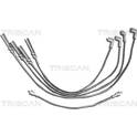 Ignition Cable Kit TRISCAN - 8860 4027