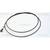 Kabel, startmotor TRISCAN - 8140 91003