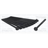 Kit bulloni testata TRISCAN - 98-5500