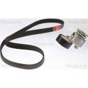 Kit Cinghie Poly-V TRISCAN - 8642 10030