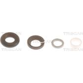 Kit de joints (injecteur) TRISCAN - 596-1011