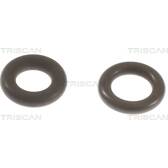 Kit guarnizioni, Iniettore TRISCAN - 596-1003