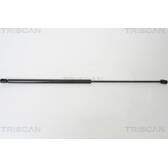 Mola pneumática, capot do motor TRISCAN - 8710 29121